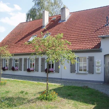 Die Alte Stadtmuehle Von Kloster Zinna Jüterbog Exteriör bild